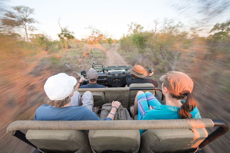 Buffelshoek-Game-Driv