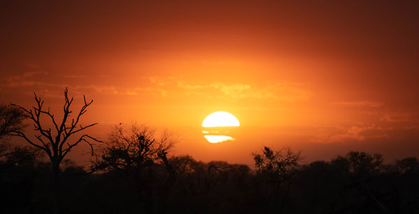 Buffelshoek Game Drive 13