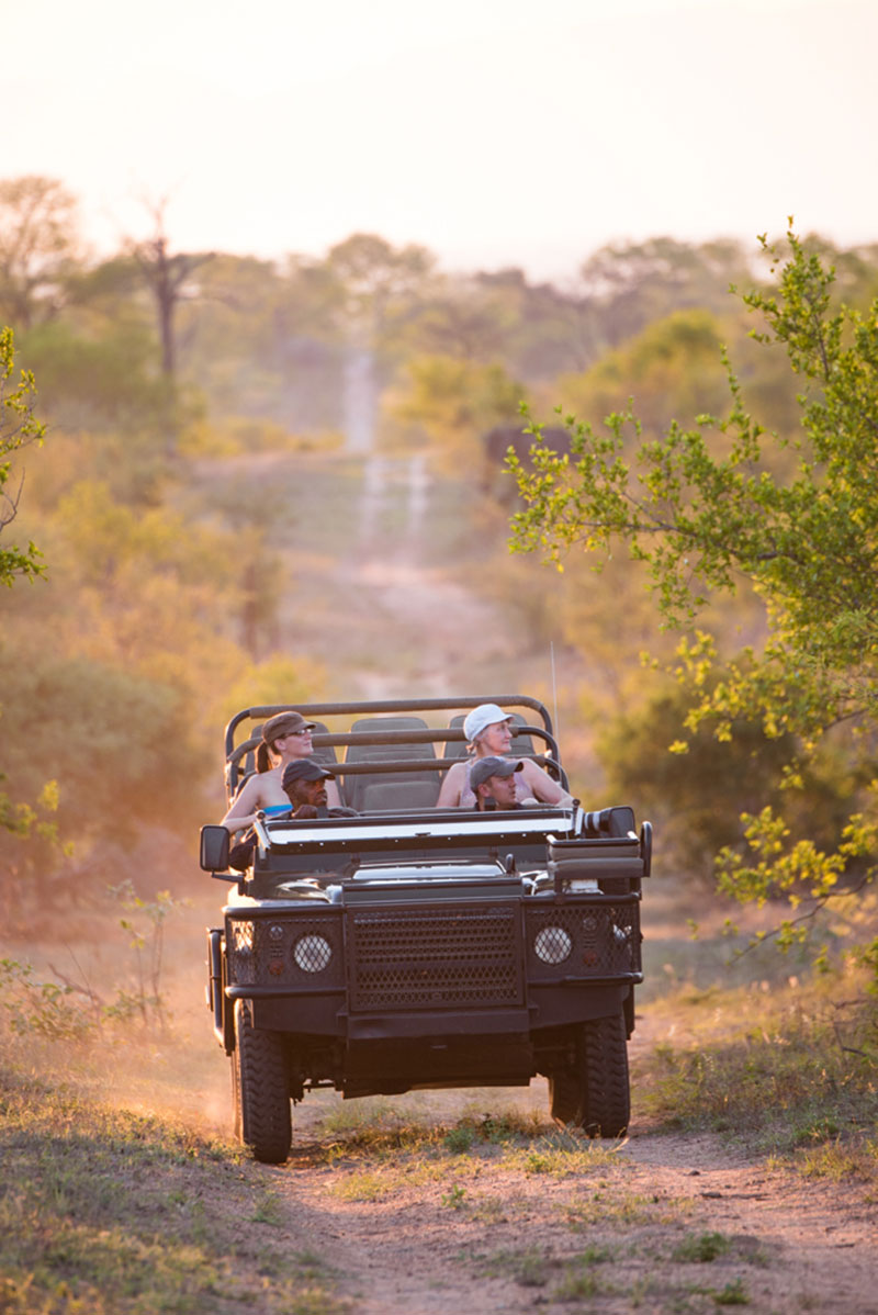 Buffelshoek-Game-Drive-20