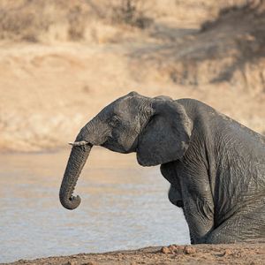 Ndzhaka Game Drive Gallery 8