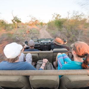 Ndzhaka Game Drive Gallery 20
