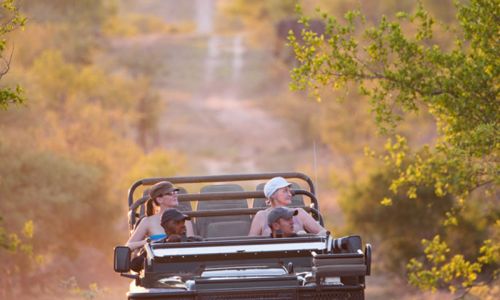 Buffelshoek Game Drive 20