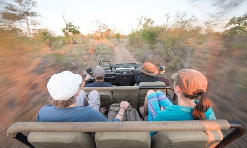 Buffelshoek Game Drive 19